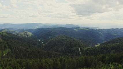 Horizontal panning from a drone, scenic view of a green hilly valley overgrown with a dense spruce forest in the rays of sunlight