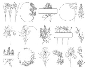 Collection of spring flowers (tulips, lilac, freesia, narcissus, crocus) bouquets and frames, botanical line drawing, vector floral line art illustration for wedding, logo, advertising, packaging