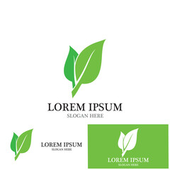 leaf nature ecology icon vector illustration template design