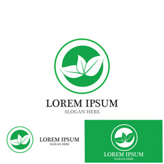 leaf nature ecology icon vector illustration template design