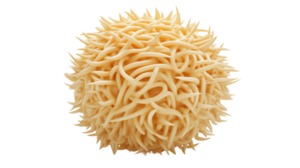 Abstract microscopic image of spiky microorganism in lab setting