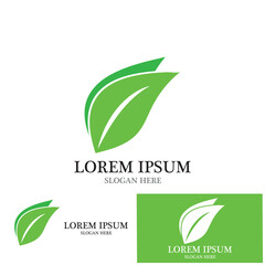leaf nature ecology icon vector illustration template design