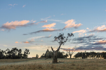 Morning fog and sunset in Tasmania