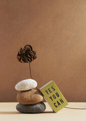 YES YOU CAN cosmetic