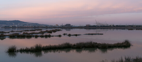 winter landscape, Koper in background