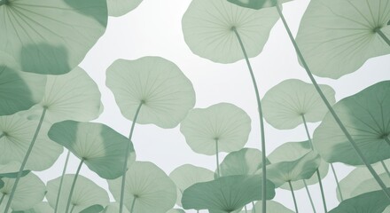 An ethereal canopy of lotus leaves reaching towards a bright diffused sky