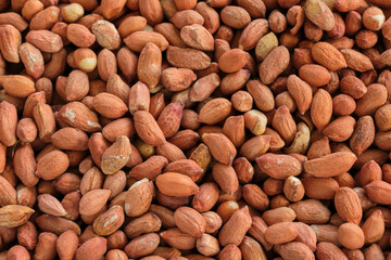 Closeup of brown raw peeled peanuts for feeding birds in winter