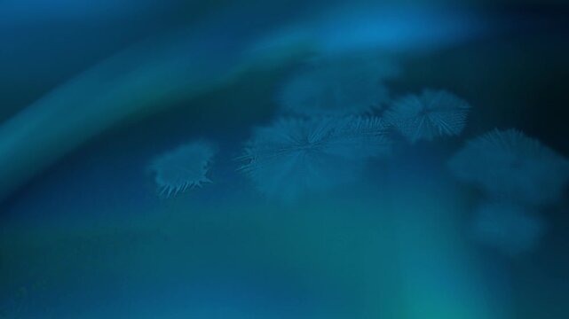 Real-time crystal growth on liquid surface, unique physical phenomenon. Freezing of water in macro. Salt crystal growth, beautiful experiment. Ice crystals