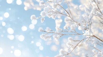 Winter sunlight illuminating sparkling snow covered branches, soft bokeh background rendering peaceful woodland landscape