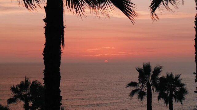 Coucher de soleil sur la Costa Verde &ndash; Vue a&eacute;rienne avec palmier au premier plan