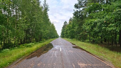 A concrete road with markings and grassy roadsides with wildflowers and ferns passes through a mixed forest. There are puddles on the road after an overnight rain. Cloudy summer weather