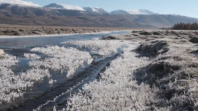 Fast-moving stream of narrow river runs along frozen banks on sunny day. Mountain landscape of autumn nature with melting ice islands and frosted grass in highland. Altai