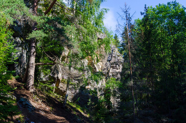 stone cliffs in a coniferous forest in summer on a sunny day
