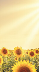 Sunflowers bloom under the golden rays of sunlight in a vast field during a warm summer afternoon. Vertical HD background.