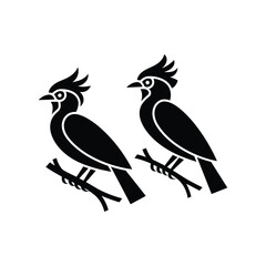 bird on a branch