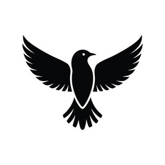 eagle vector illustration