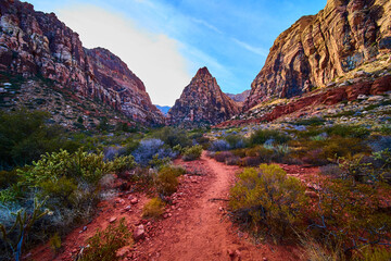 Red Rock Canyon Desert Trail at Golden Hour Eye Level Perspective