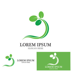 moringa leaves icon vector illustration template design