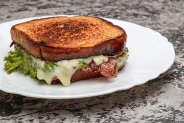 Deliciously Melted Cheese and Bacon Grilled Sandwich on a White Plate