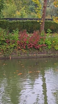 scenic view of The Middle Deule Canal or Esplanade Canal (Le canal de la moyenne-De&ucirc;le - canal de l'Esplanade )  in Lille, France 