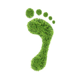 green leaf growing footprints, co2 symbol isolated on White Background. Reduce CO2 emission...