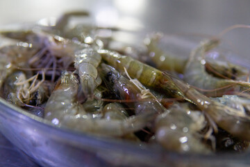 Fresh raw shrimps