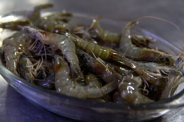 Fresh raw shrimps