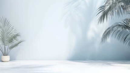 The product presentation features a minimalistic and simple background with shadows from tropical foliage and lighting on a blue wall