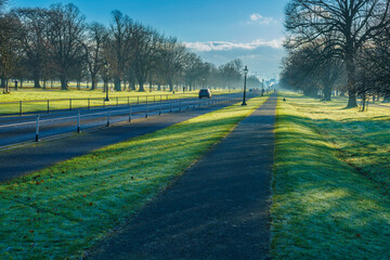 The Phoenix Park early in the morning