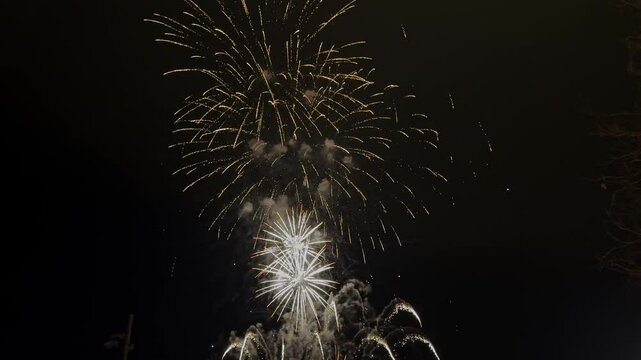 Fireworks exploding in the dark night sky during a celebration