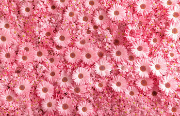 A vibrant arrangement of pink flowers creating a soft, floral background.