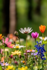 Fototapeta premium Beautiful colorful wild flowers in deep foggy forest with sun light in Spring.