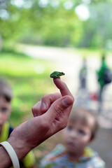 Mini green frog sits on a person's finger close-up