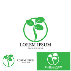 leaf nature ecology icon vector illustration template design