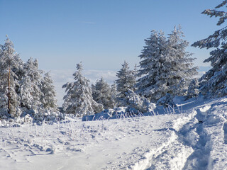Panorama of Vitosha Mountain, Sofia City Region, Bulgaria