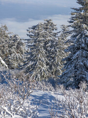 Panorama of Vitosha Mountain, Sofia City Region, Bulgaria