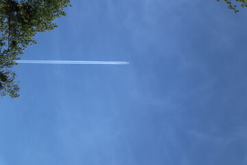 Against the blue sky, a white plane flies leaving a white trail behind, and the leaves of the trees are visible along the edge of the picture