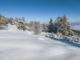 Panorama of Vitosha Mountain, Sofia City Region, Bulgaria