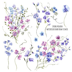 Hand draw watercolor illustration with spring meadow flowers, purple wildflower, crest frame, bouquet, bows, grass, isolated on white background