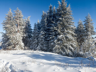 Panorama of Vitosha Mountain, Sofia City Region, Bulgaria