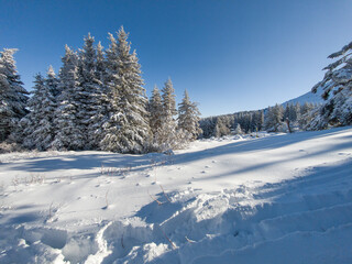 Panorama of Vitosha Mountain, Sofia City Region, Bulgaria