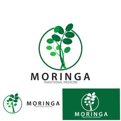 moringa leaf tradicional medicine icon vector illustration template design
