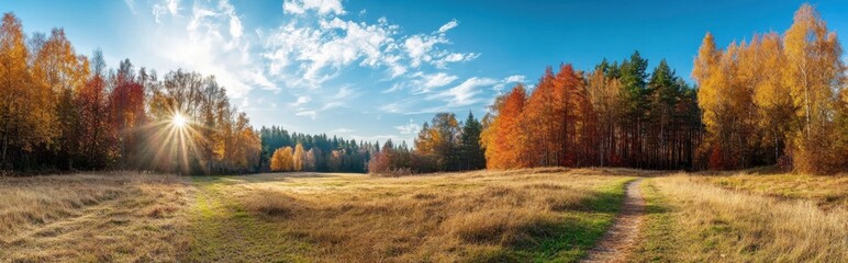Fototapeta premium Bright autumn landscape with vibrant foliage and a sunlit meadow during a clear day