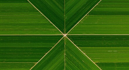 Aerial view of a geometric agricultural landscape with vibrant green fields