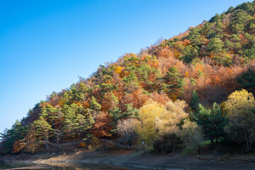 Fototapeta premium Autumn reflections on calm waters of Boraboy Lake Nature Park. Scenic forested hills and tranquil lake in fall. Peaceful scene with trees. Seasonal change 