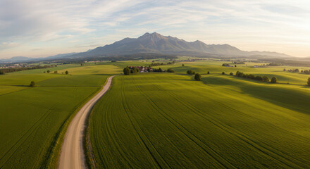 Fototapeta premium Scenic Road Through Mountain Landscape with Lush Fields and Horizon Views