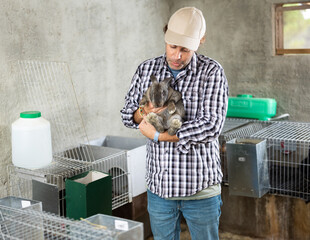 Man farmer with a rabbit in her hands on her farm. Farmer takes care of animals