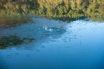 Circular water ripples and bubbles effect. Water ripples and round droplets on blue sea texture pattern background. Liquid motion on calm lake surface. Ring affect, circles