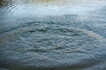 Circular water ripples and bubbles effect. Water ripples and round droplets on blue sea texture pattern background. Liquid motion on calm lake surface. Ring affect, circles