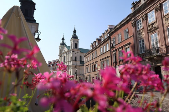 church and old houses visible between pink flowers - Powered by Adobe